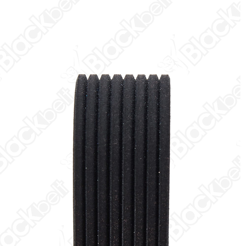 COURROIE SERPENTINE BLACK BELT