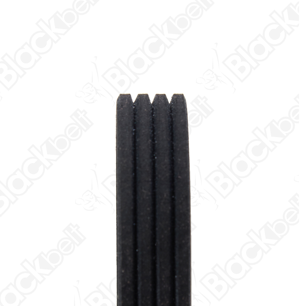 BLACKBELT SERPENTINE BELT