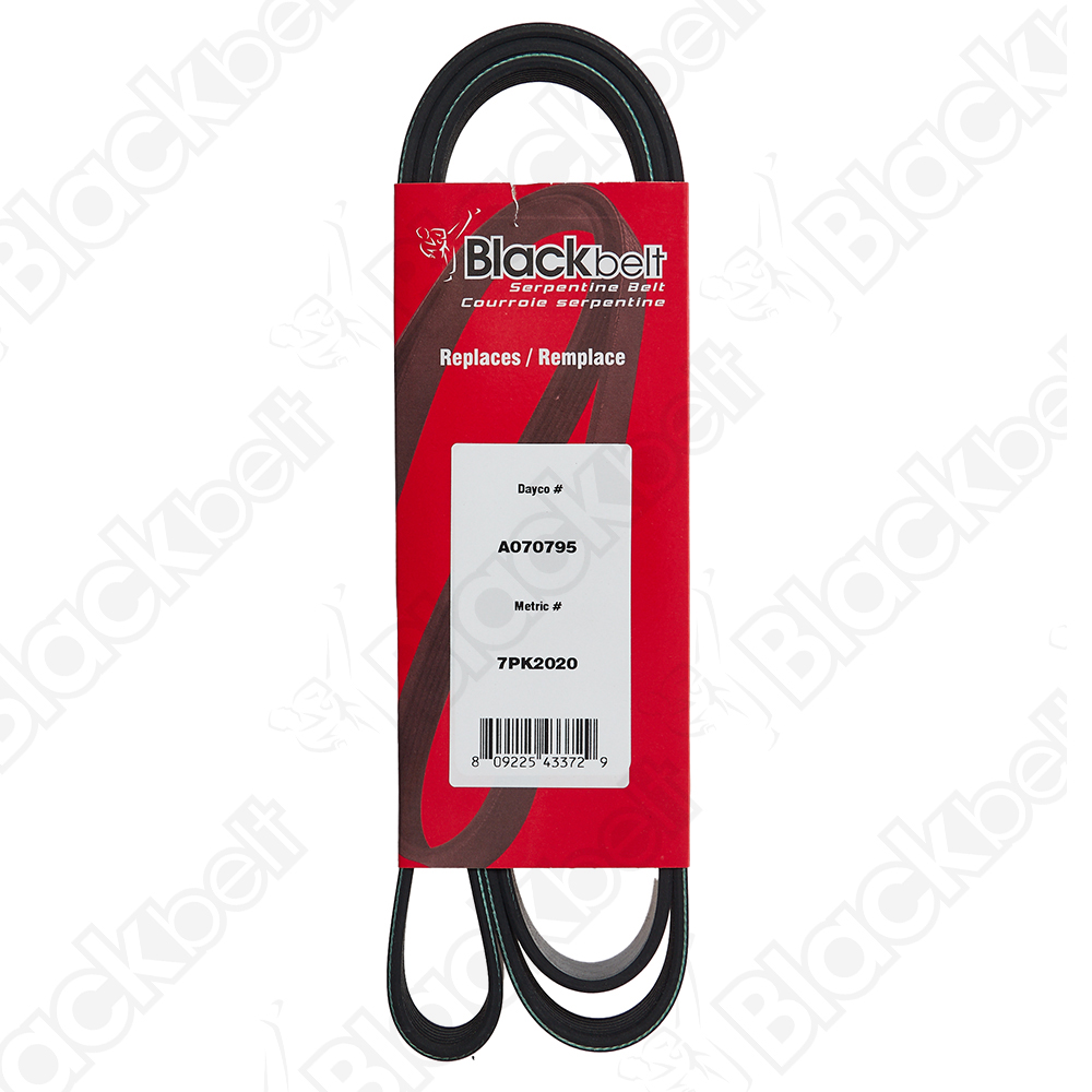 COURROIE SERPENTINE BLACKBELT