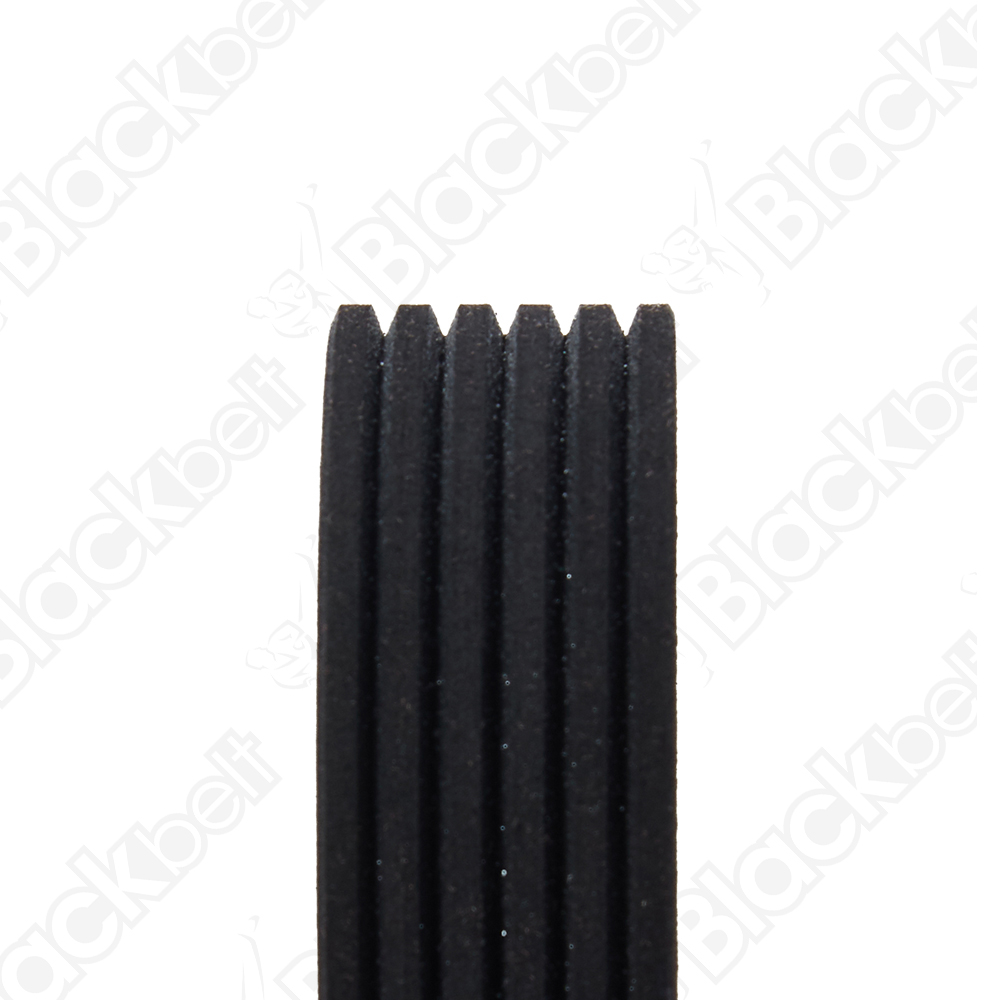 COURROIE SERPENTINE BLACK BELT
