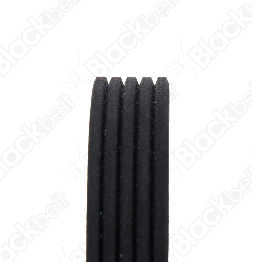 COURROIE SERPENTINE BLACK BELT