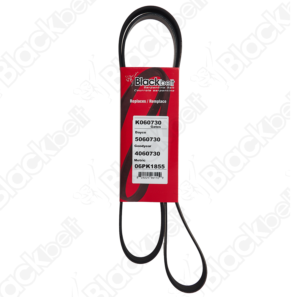 BLACKBELT SERPENTINE BELT