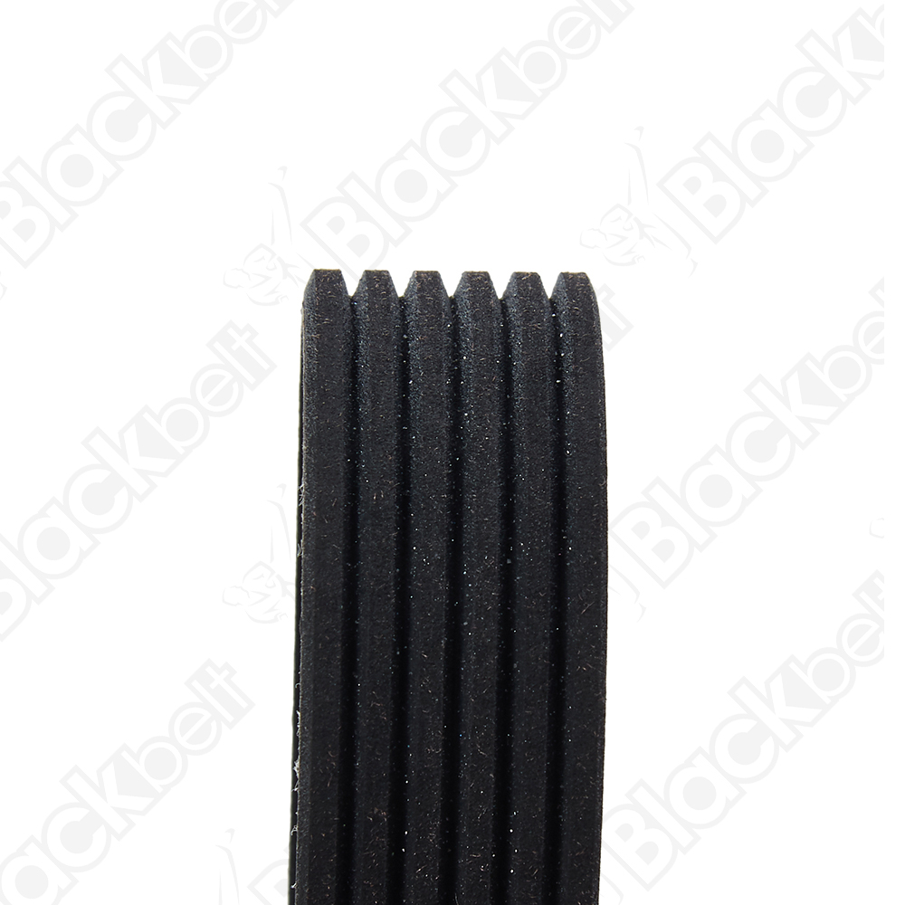 BLACKBELT SERPENTINE BELT