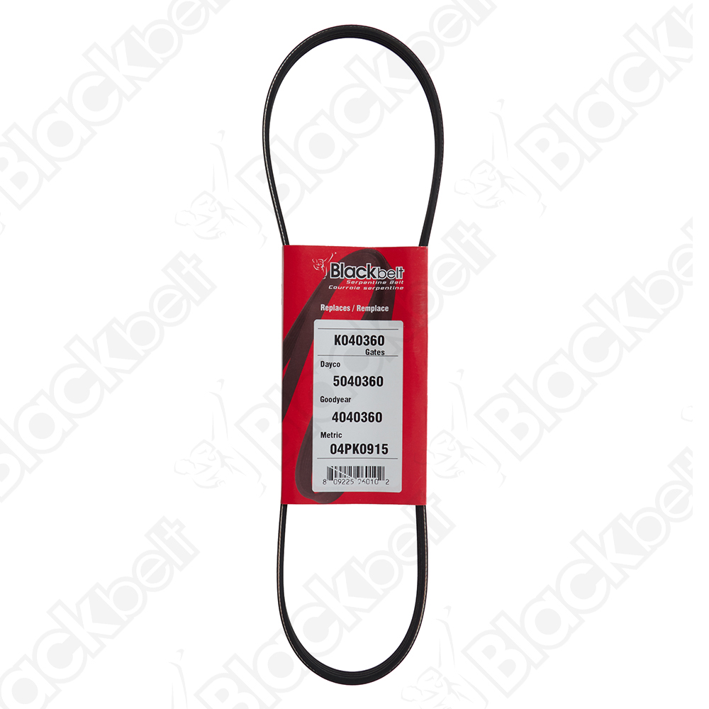 COURROIE SERPENTINE BLACK BELT