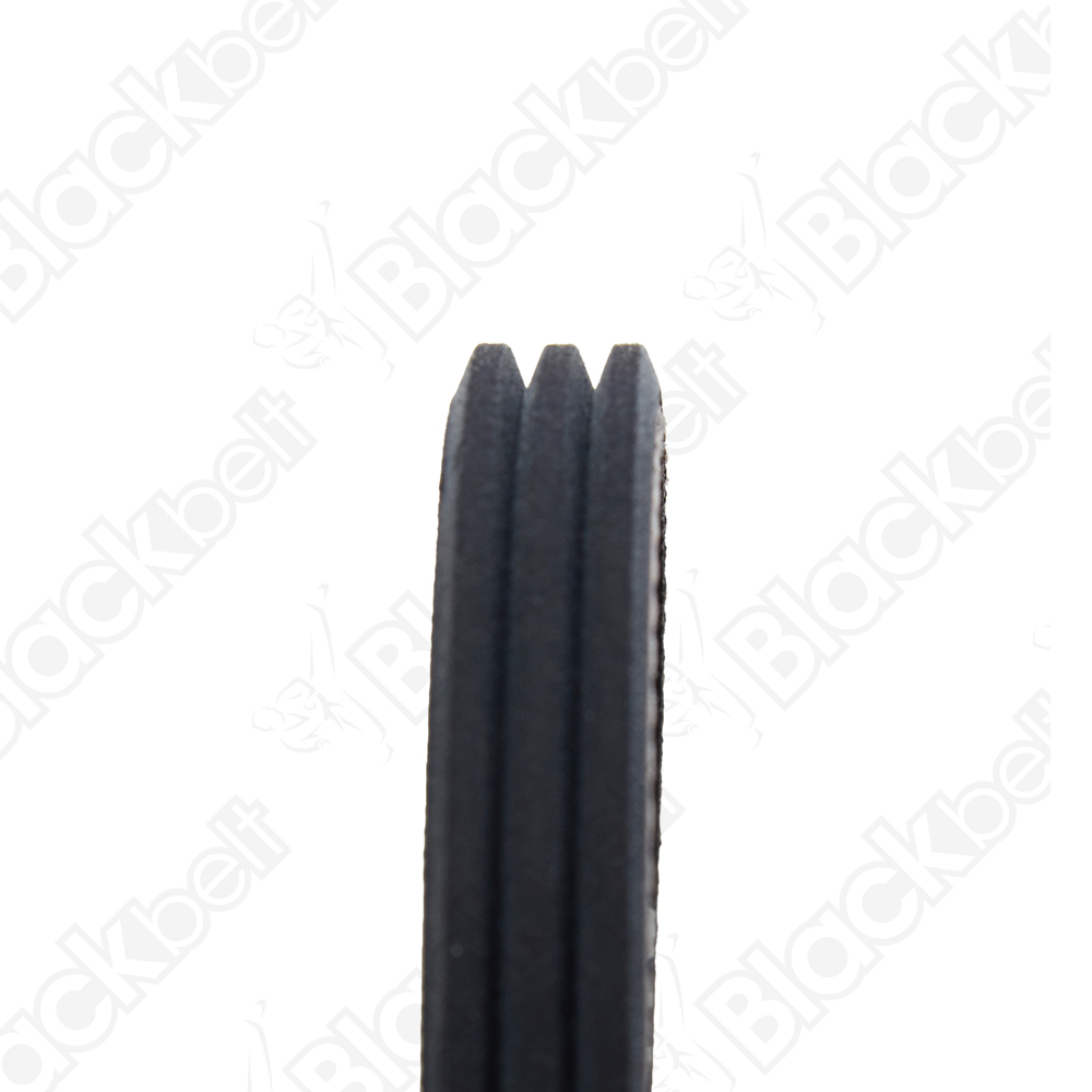 COURROIE SERPENTINE BLACK BELT