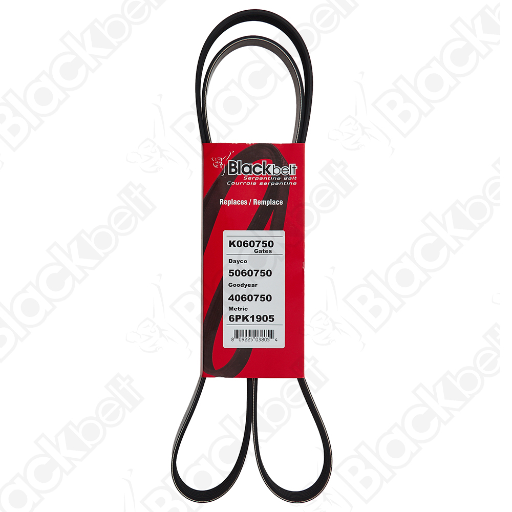 BLACKBELT SERPENTINE BELT