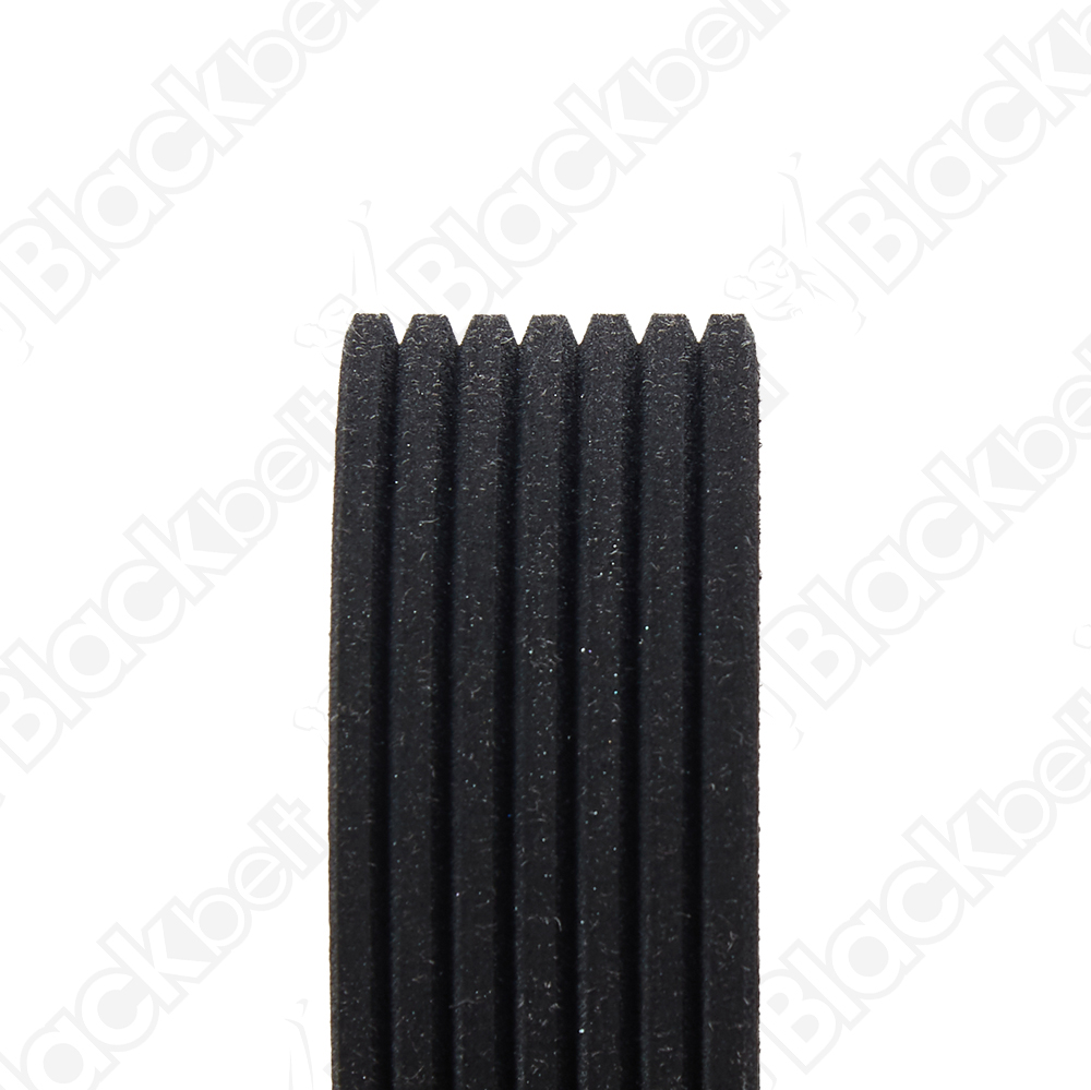 BLACKBELT SERPENTINE BELT