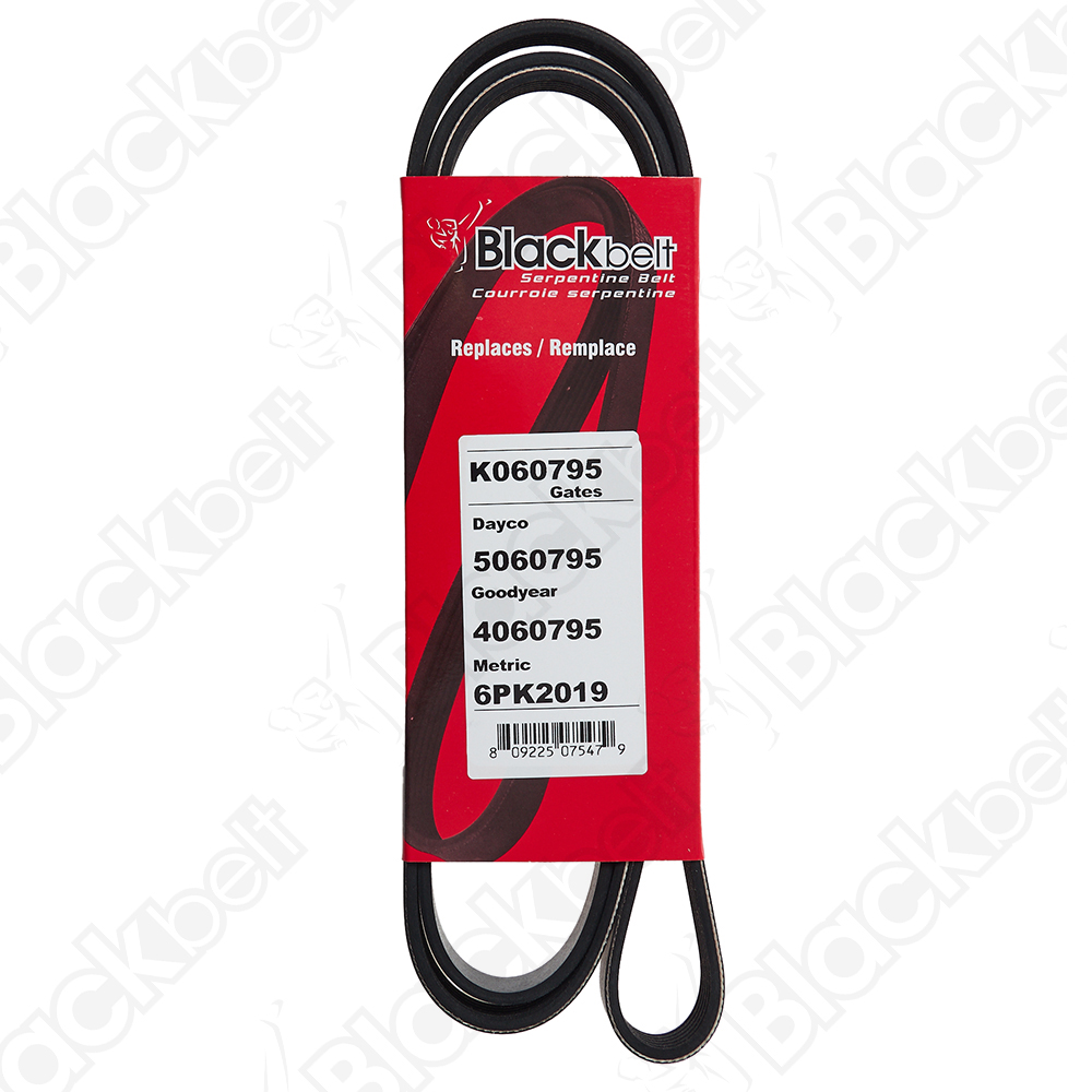 BLACKBELT SERPENTINE BELT