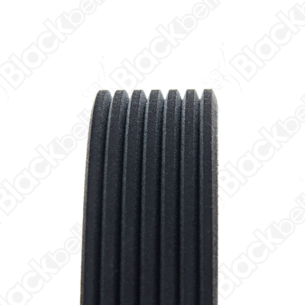 BLACKBELT SERPENTINE BELT