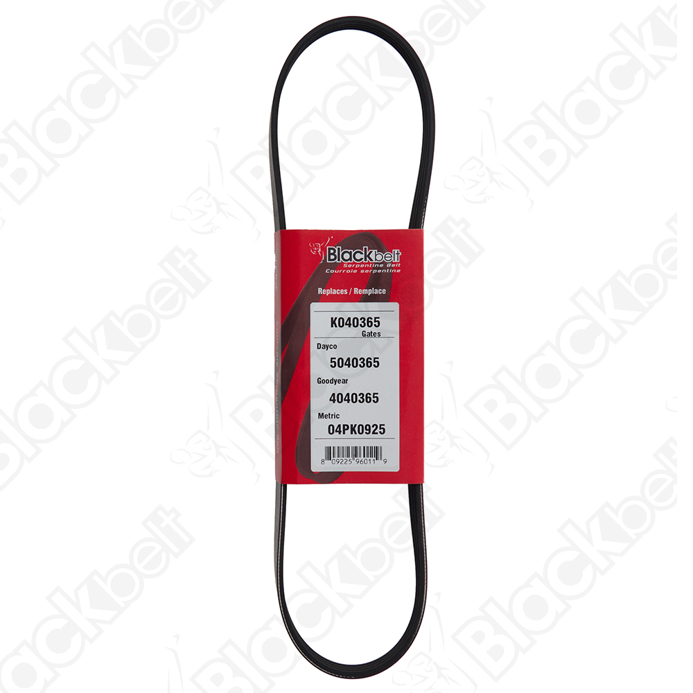 BLACKBELT SERPENTINE BELT