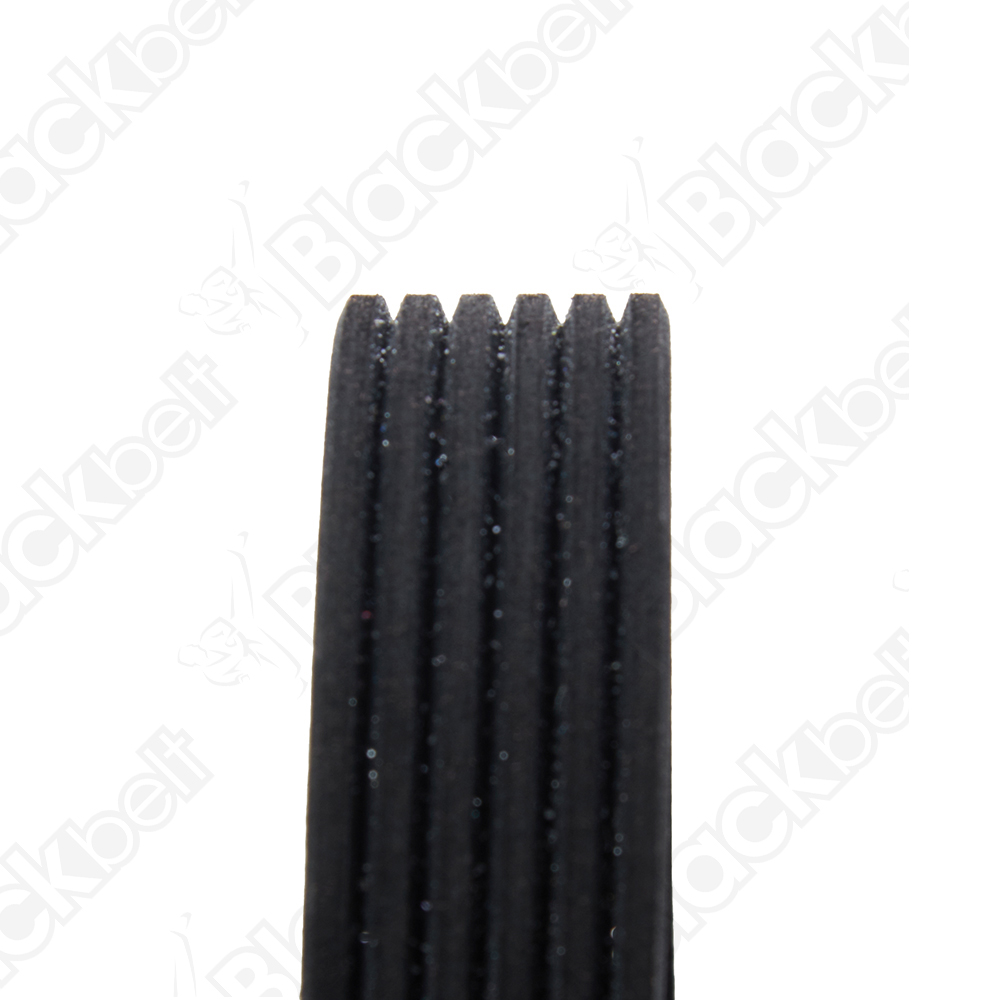 BLACKBELT SERPENTINE BELT