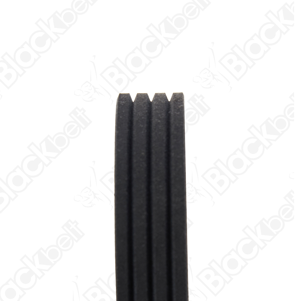 BLACKBELT SERPENTINE BELT