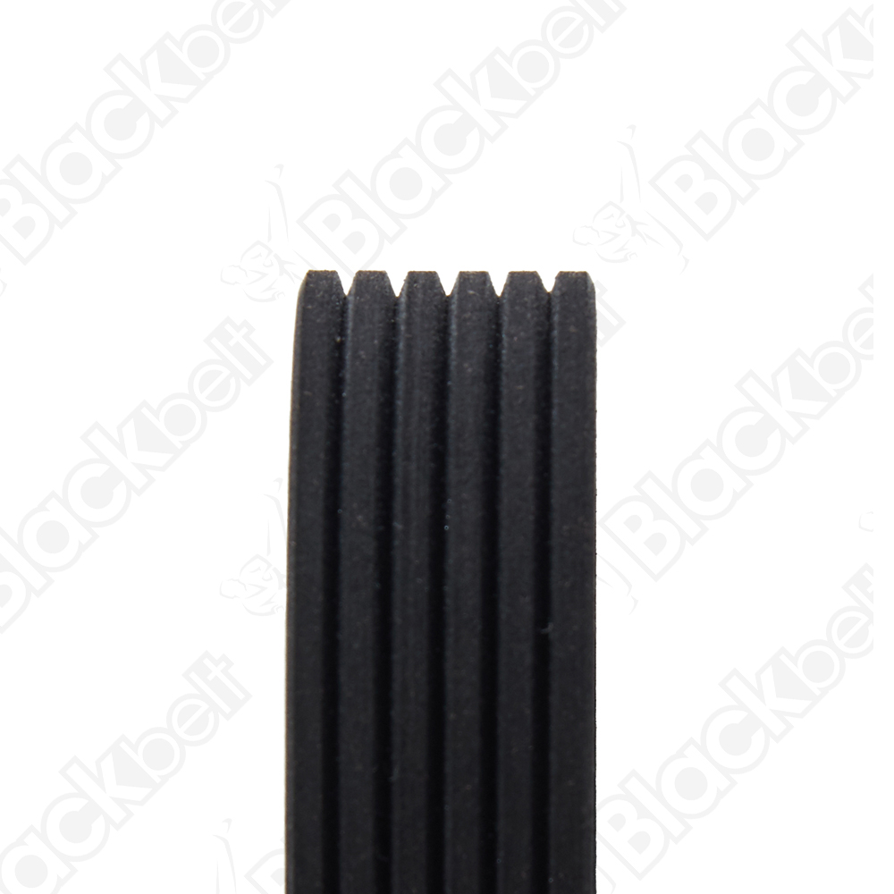 COURROIE SERPENTINE BLACK BELT