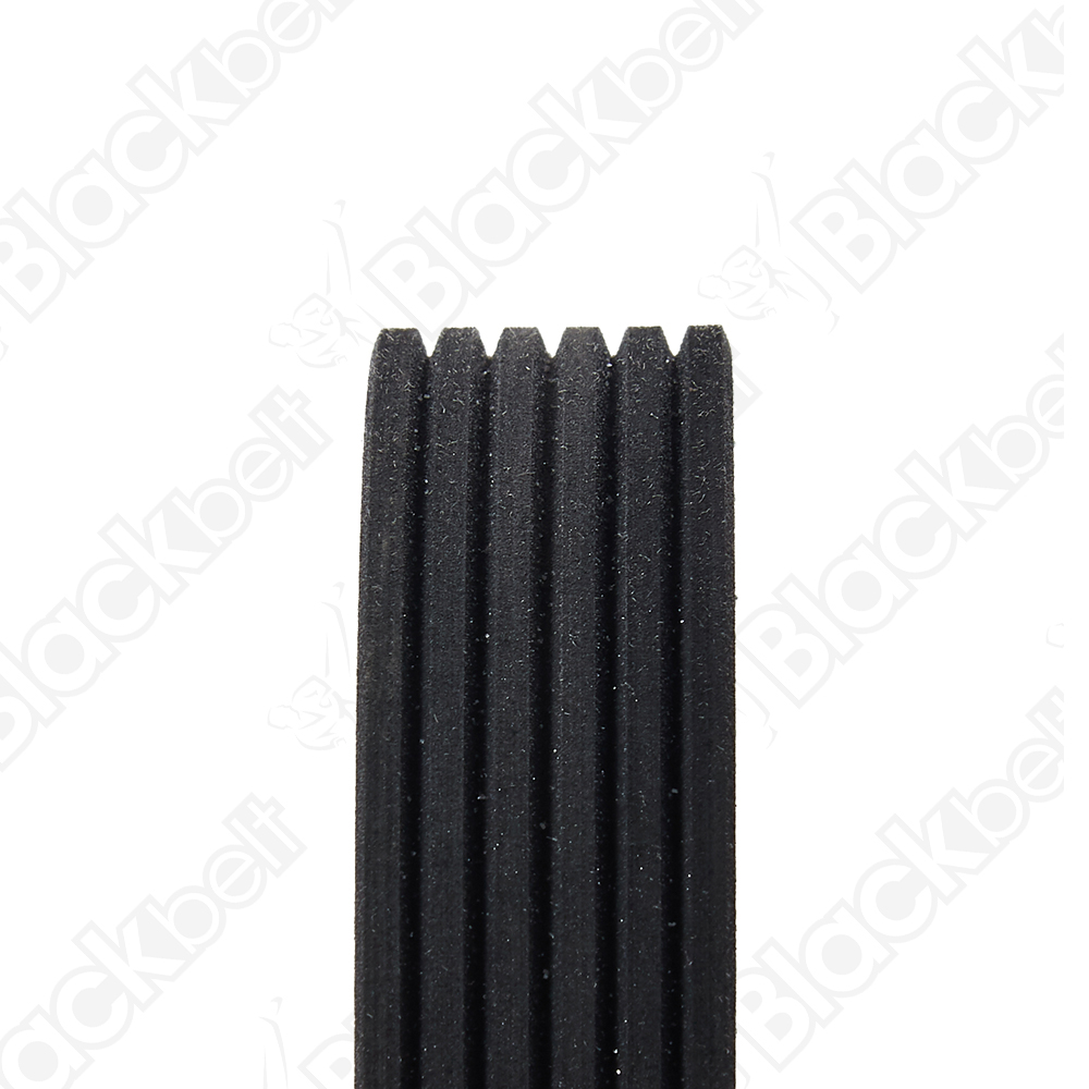 BLACKBELT SERPENTINE BELT