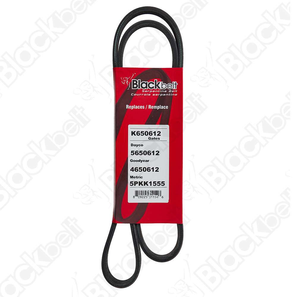 COURROIE SERPENTINE BLACK BELT