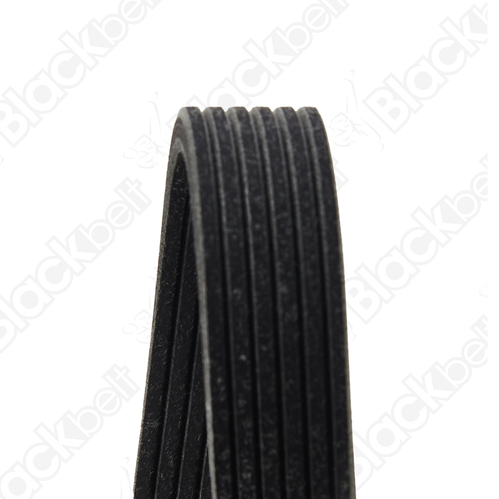 COURROIE SERPENTINE BLACK BELT