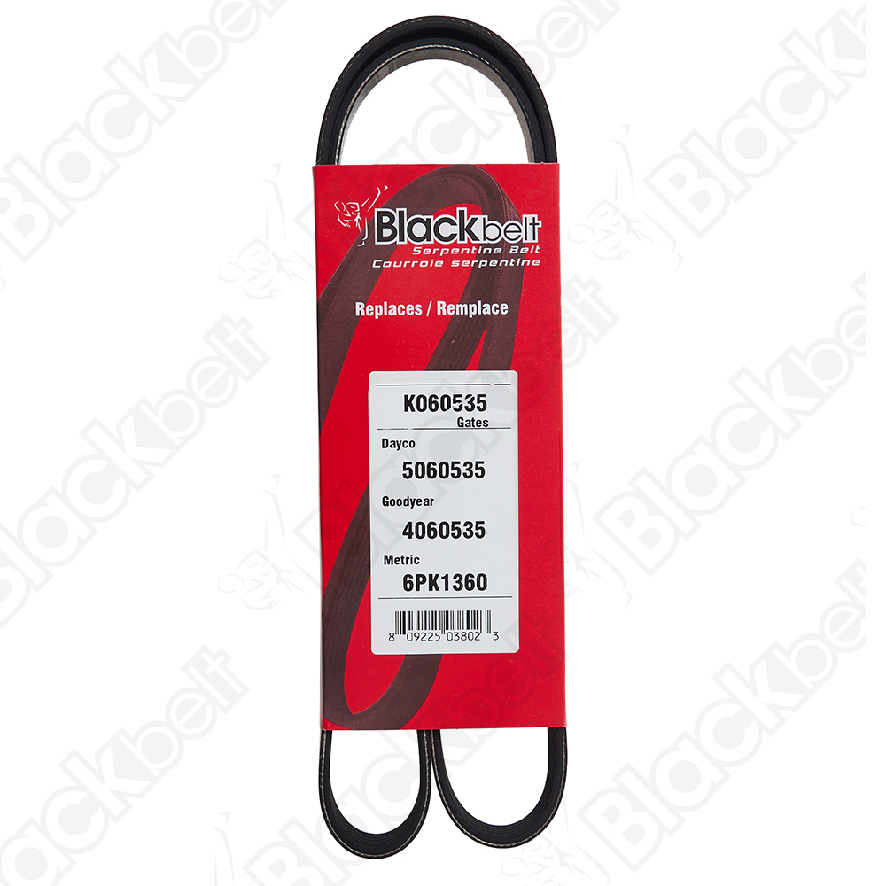 COURROIE SERPENTINE BLACK BELT