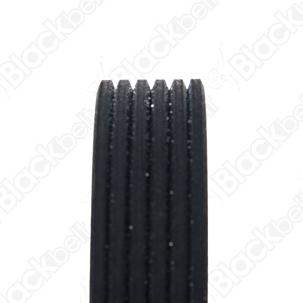 BLACKBELT SERPENTINE BELT