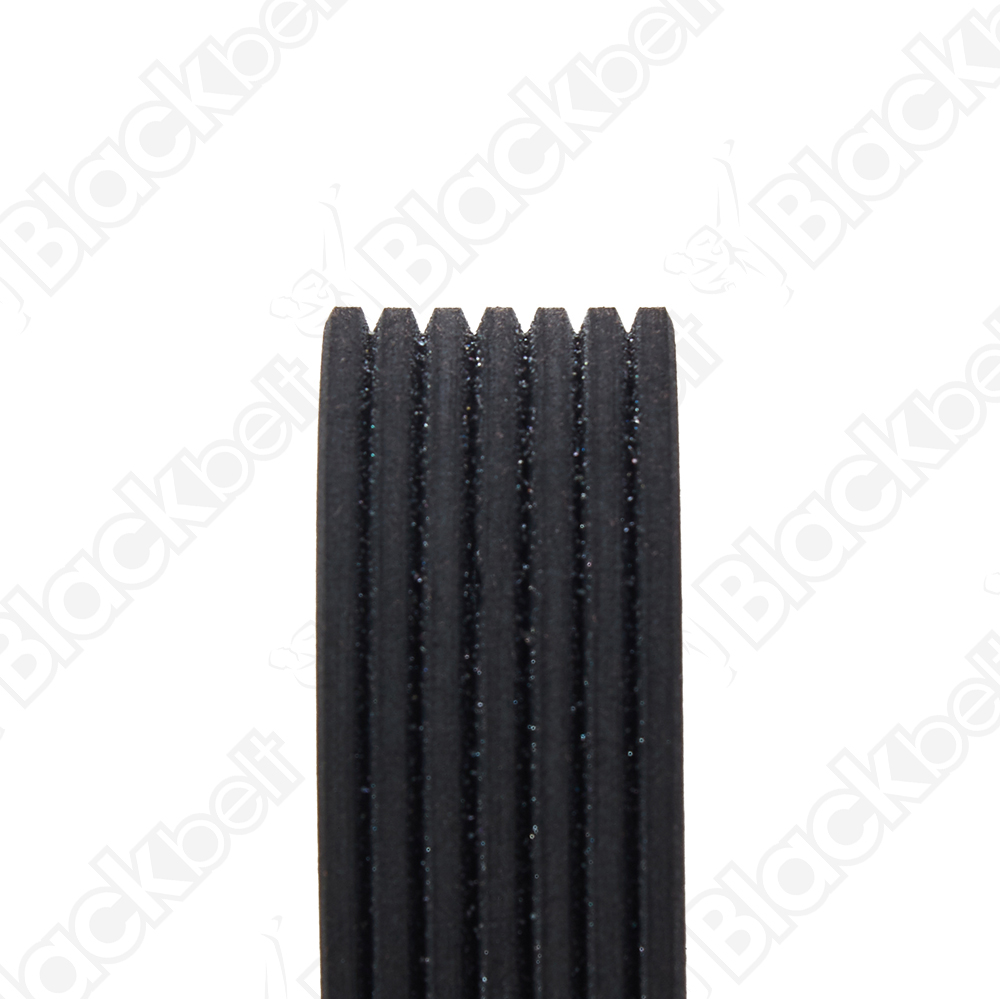 COURROIE SERPENTINE BLACK BELT