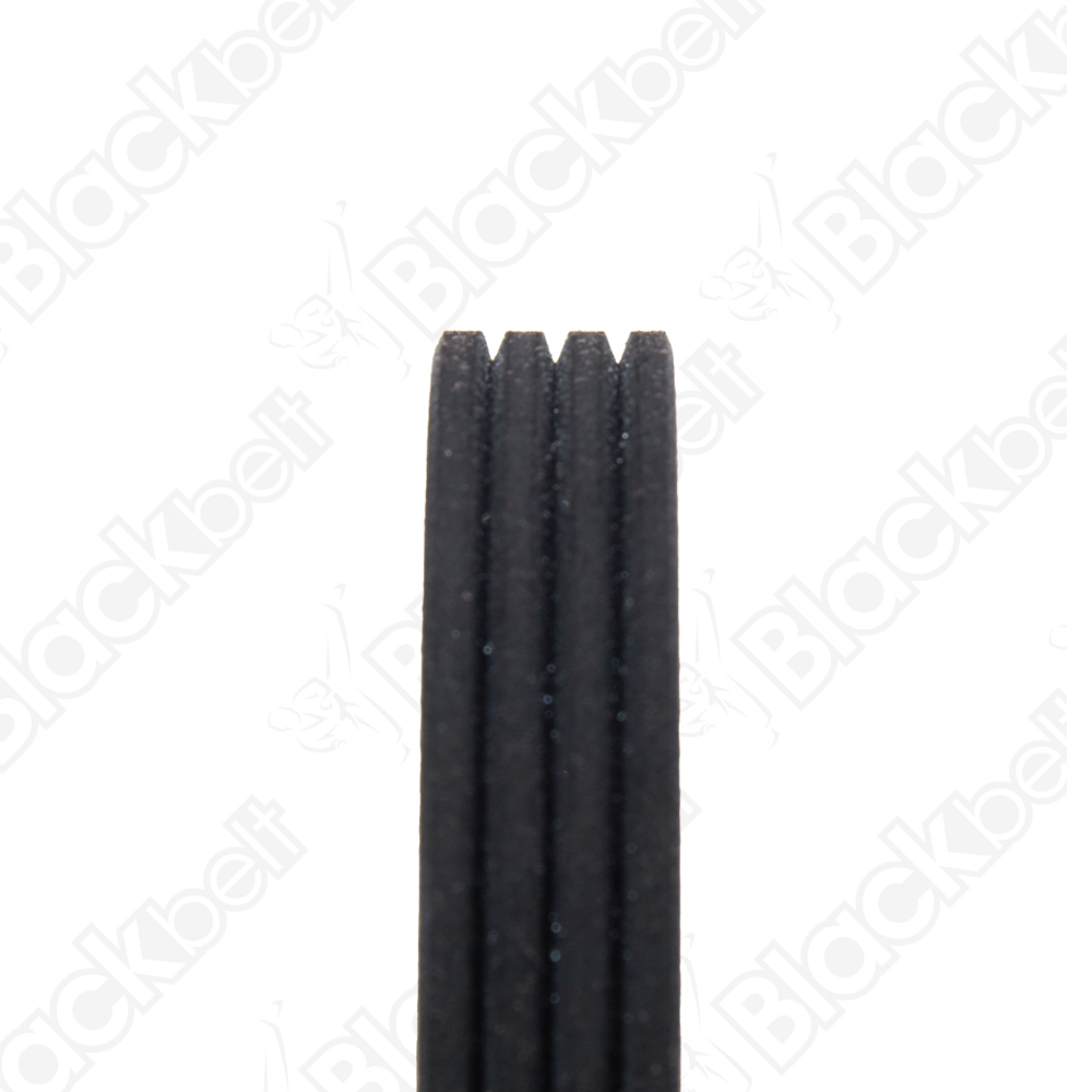 BLACKBELT SERPENTINE BELT - 2
