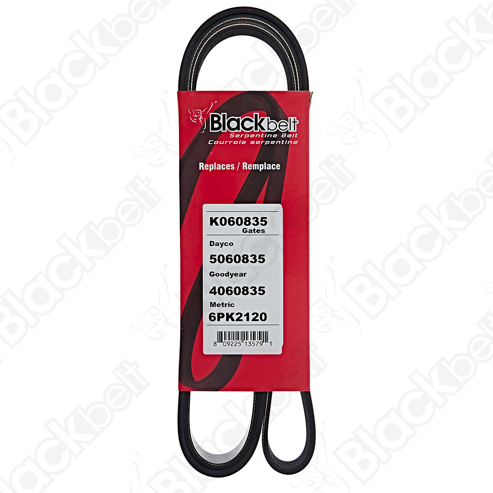 BLACKBELT SERPENTINE BELT - 2