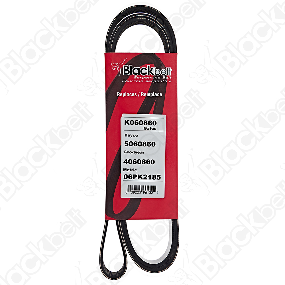 COURROIE SERPENTINE BLACK BELT
