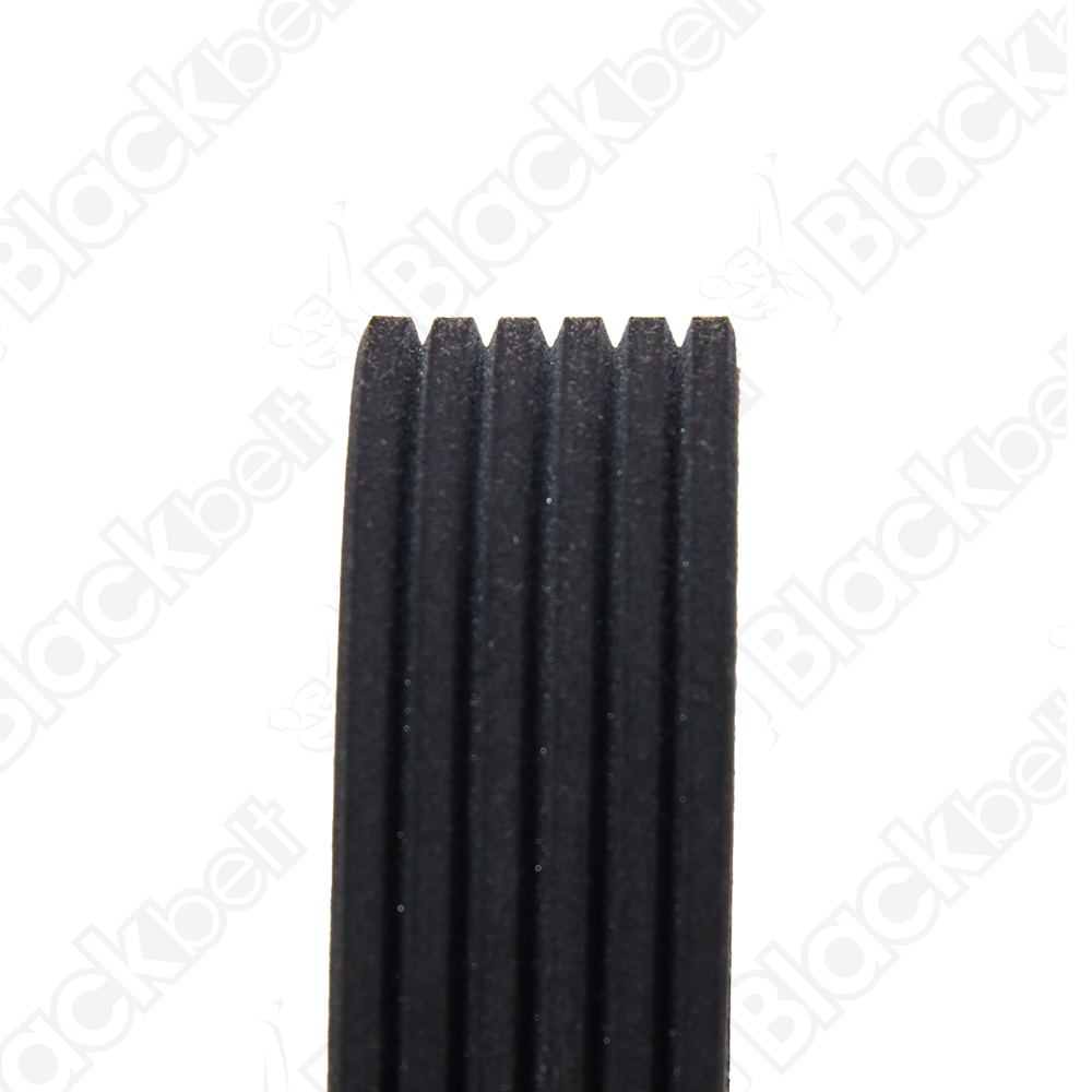 COURROIE SERPENTINE BLACK BELT