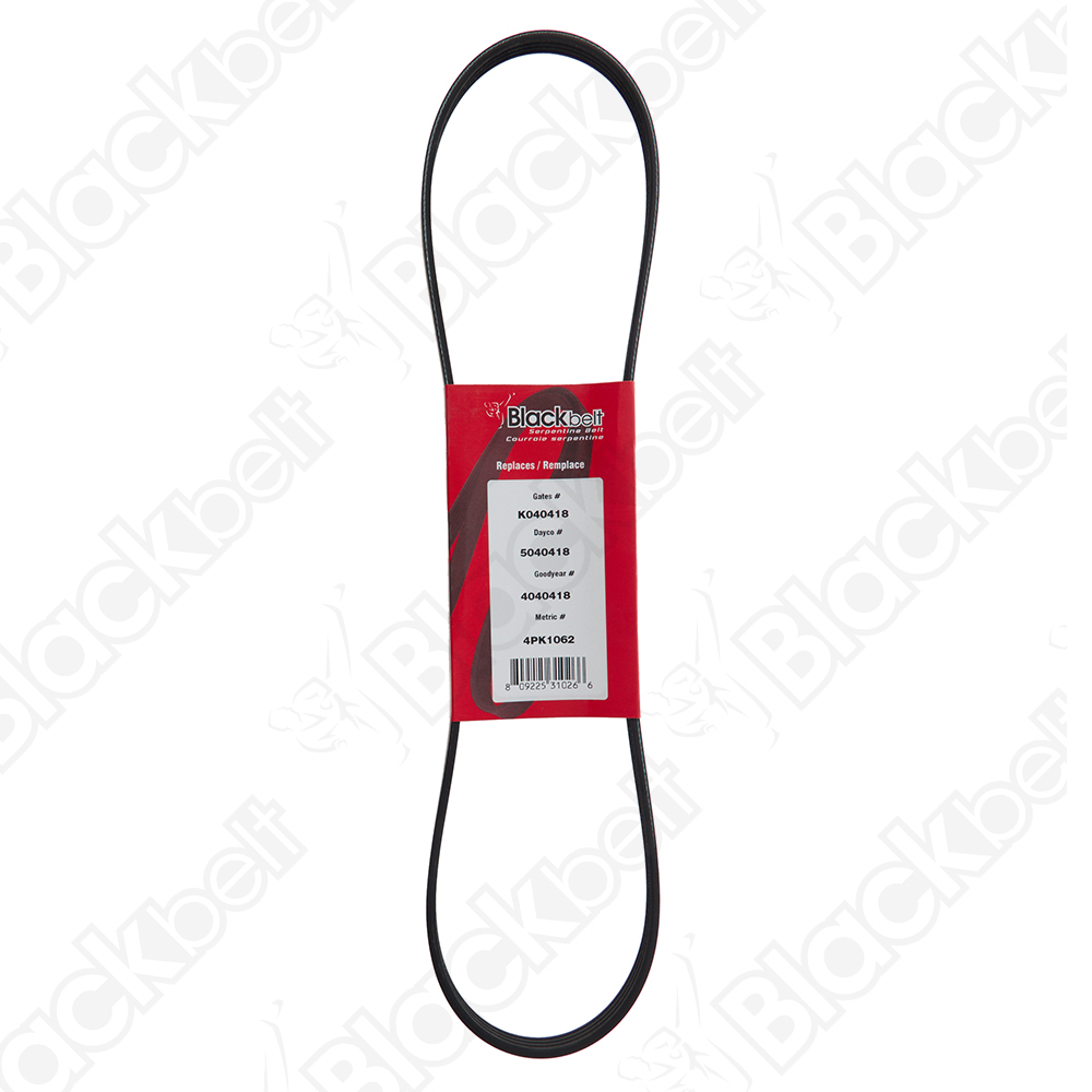 COURROIE SERPENTINE BLACK BELT