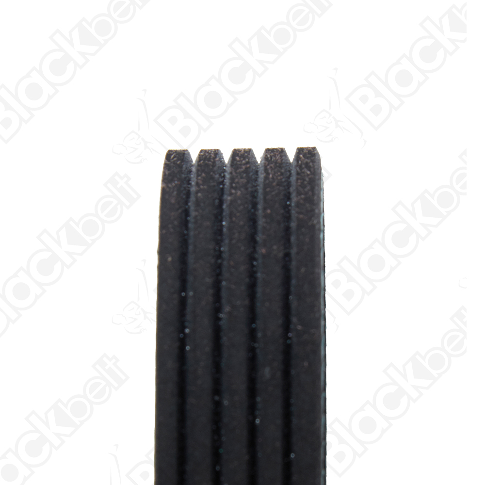 BLACKBELT SERPENTINE BELT