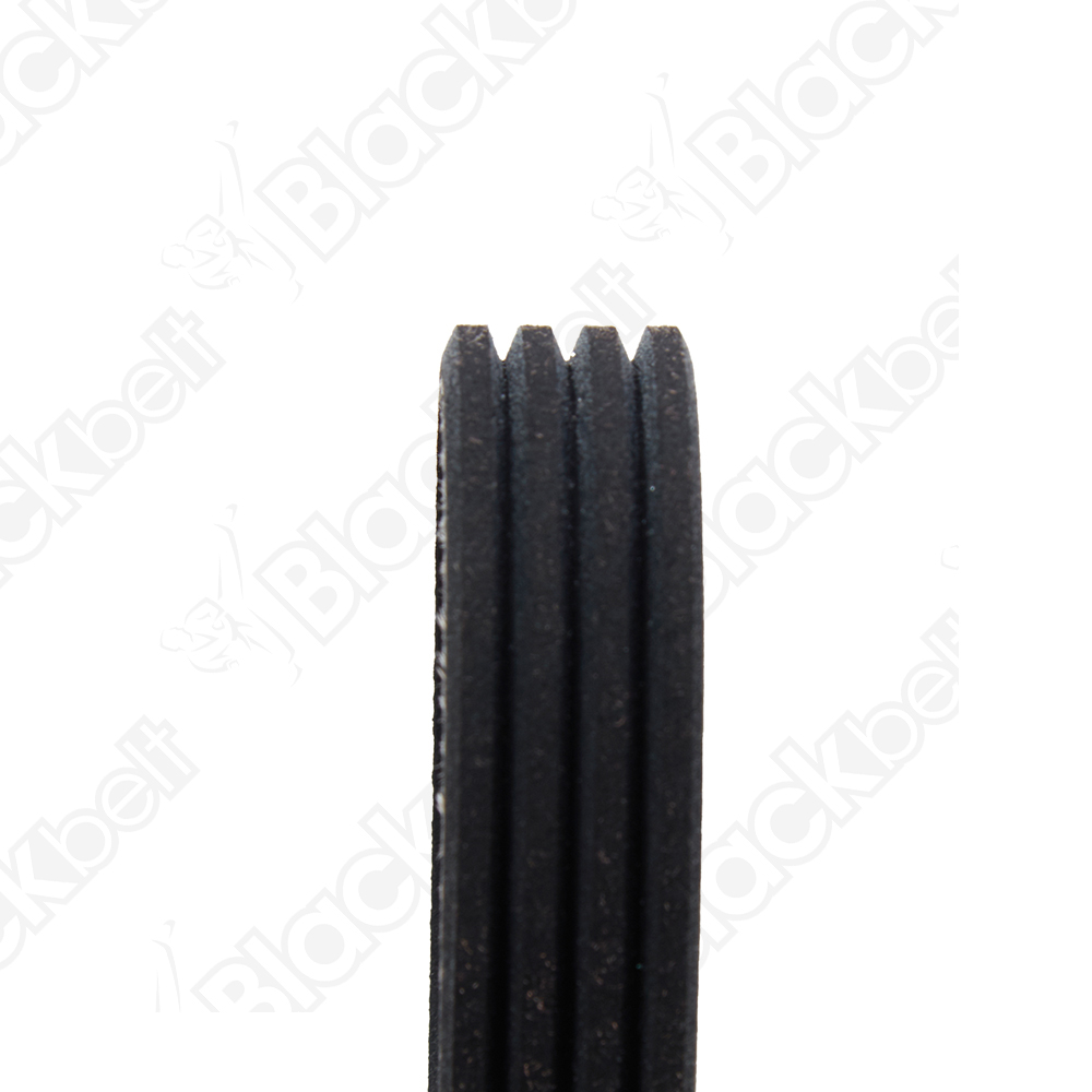 BLACKBELT SERPENTINE BELT