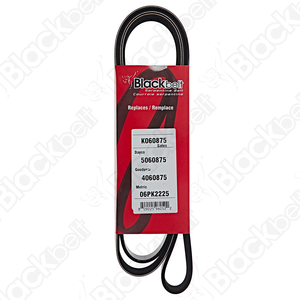 COURROIE SERPENTINE BLACK BELT