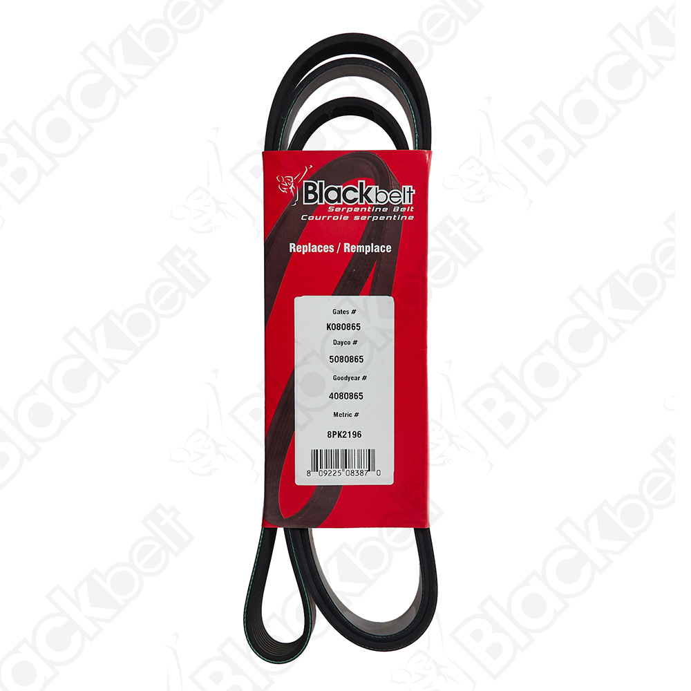 COURROIE SERPENTINE BLACK BELT
