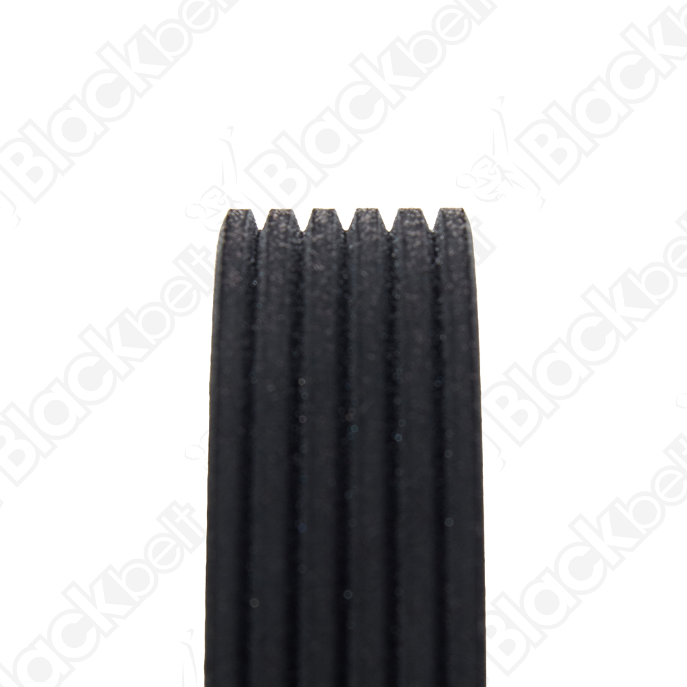COURROIE SERPENTINE BLACK BELT