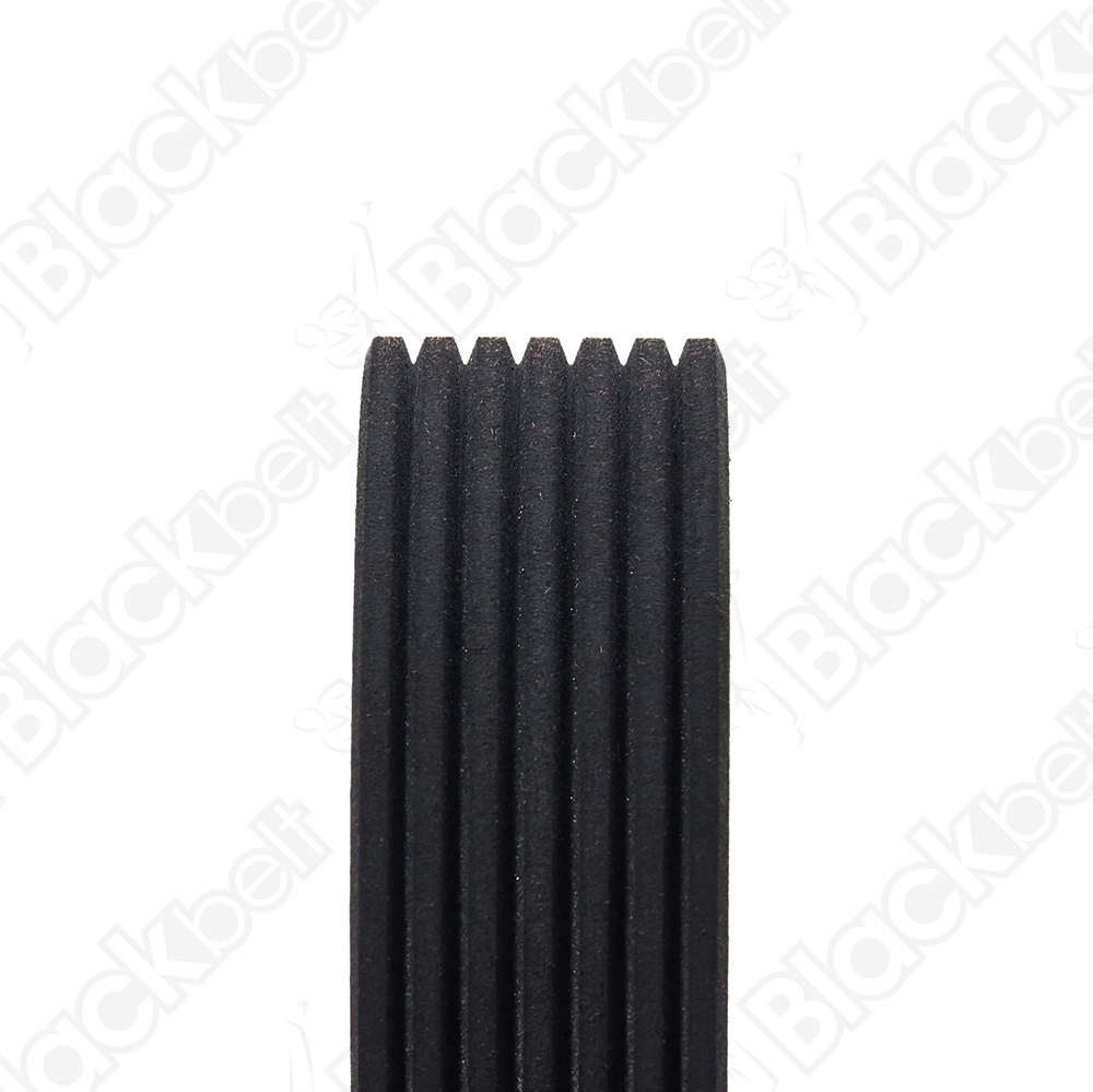 BLACKBELT SERPENTINE BELT