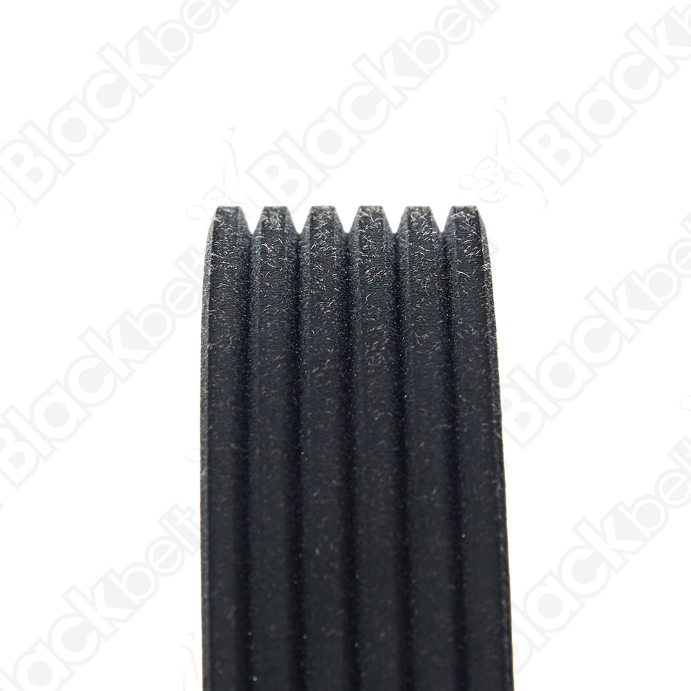 COURROIE SERPENTINE BLACK BELT