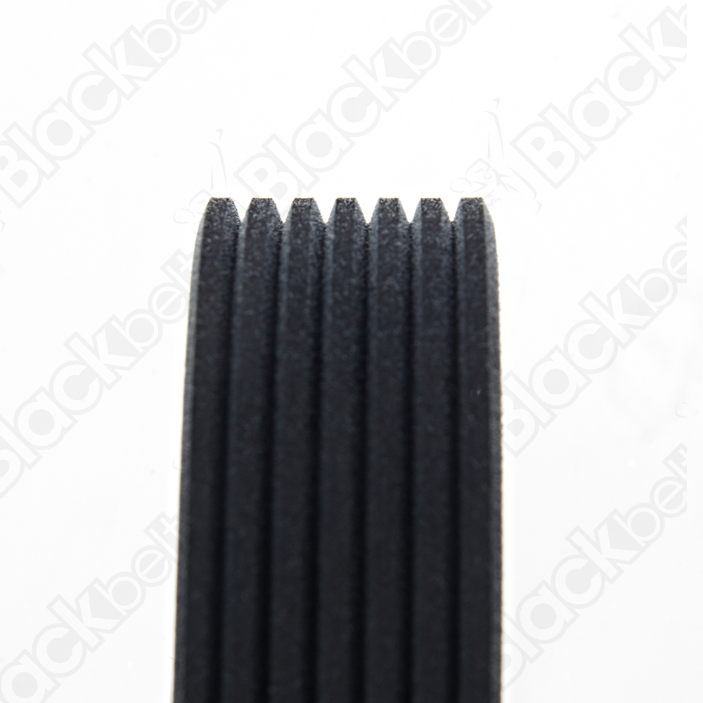 BLACKBELT SERPENTINE BELT