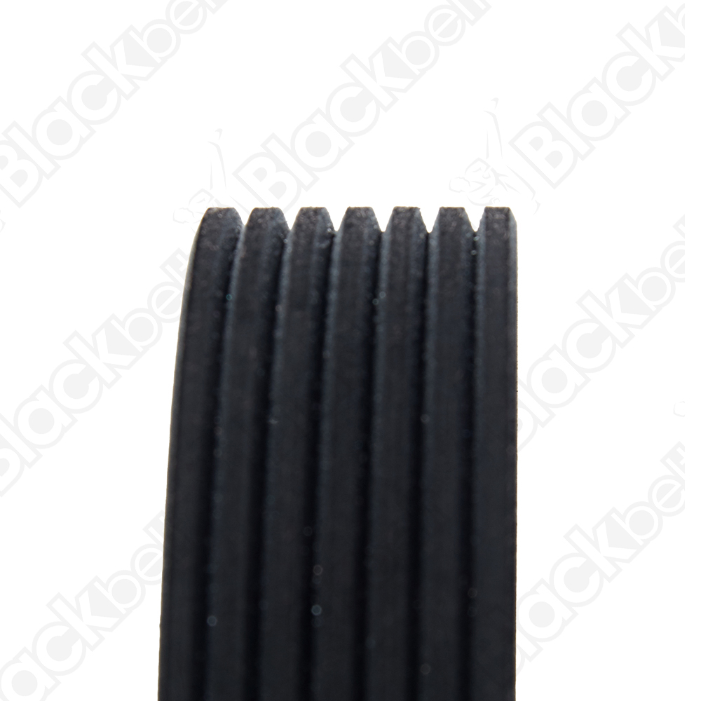 BLACKBELT SERPENTINE BELT