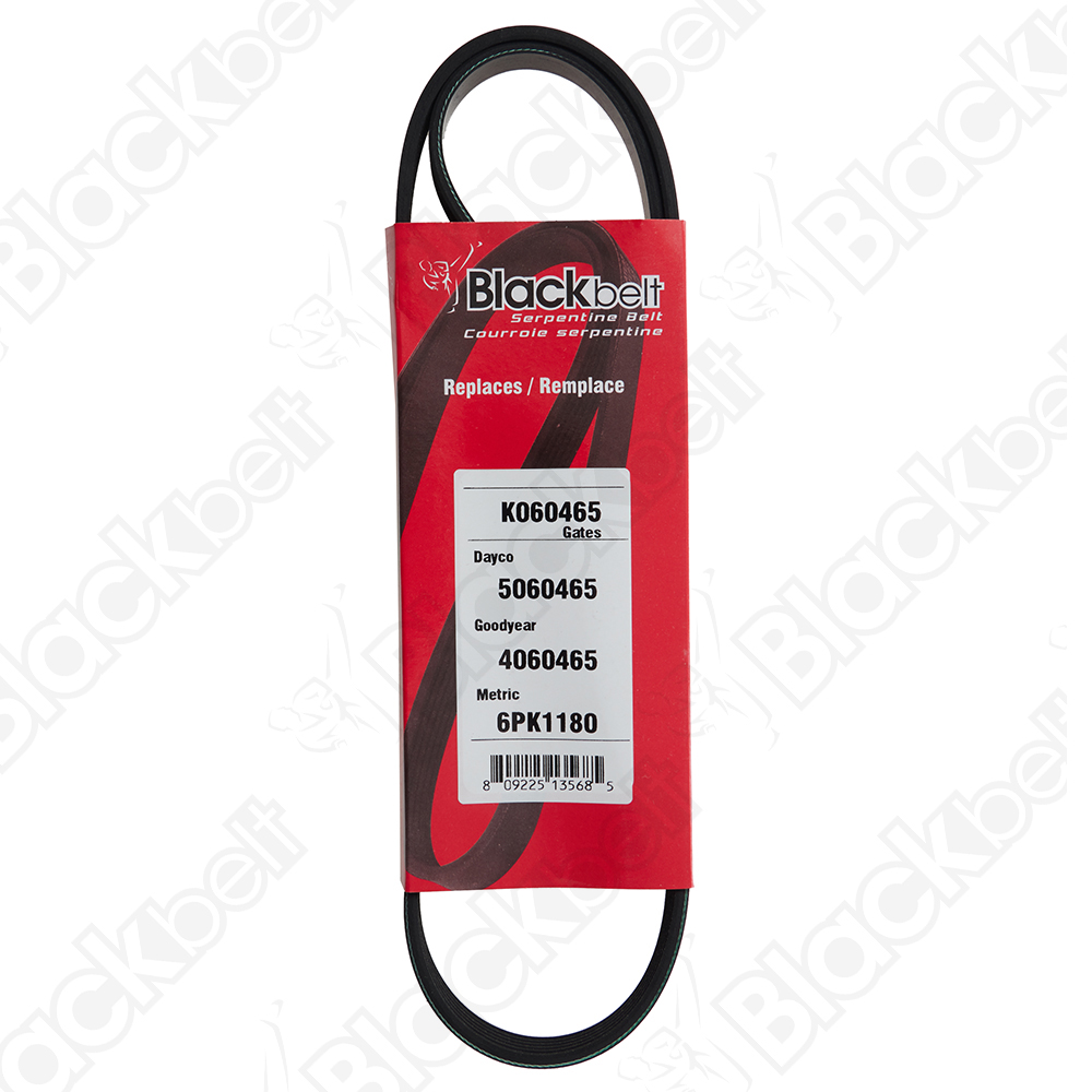 COURROIE SERPENTINE BLACK BELT