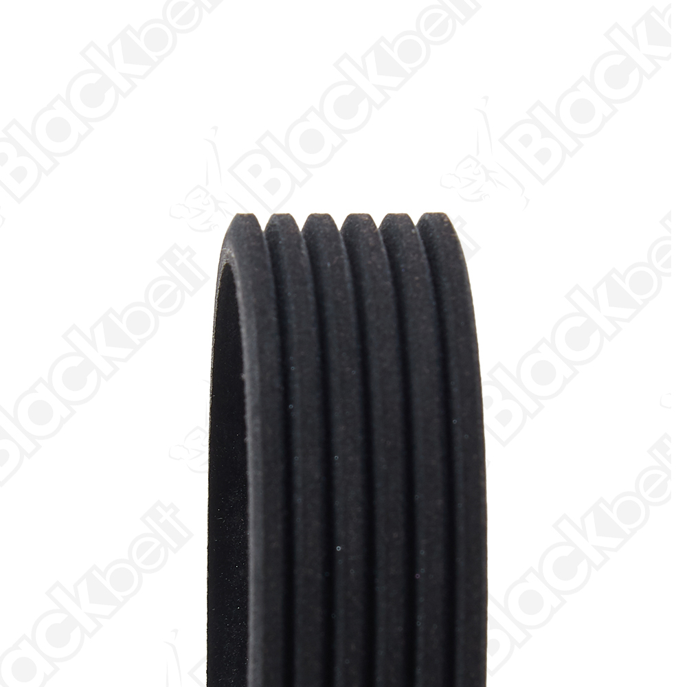 BLACKBELT SERPENTINE BELT