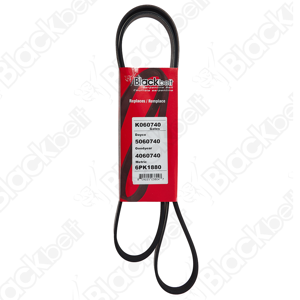 BLACKBELT SERPENTINE BELT