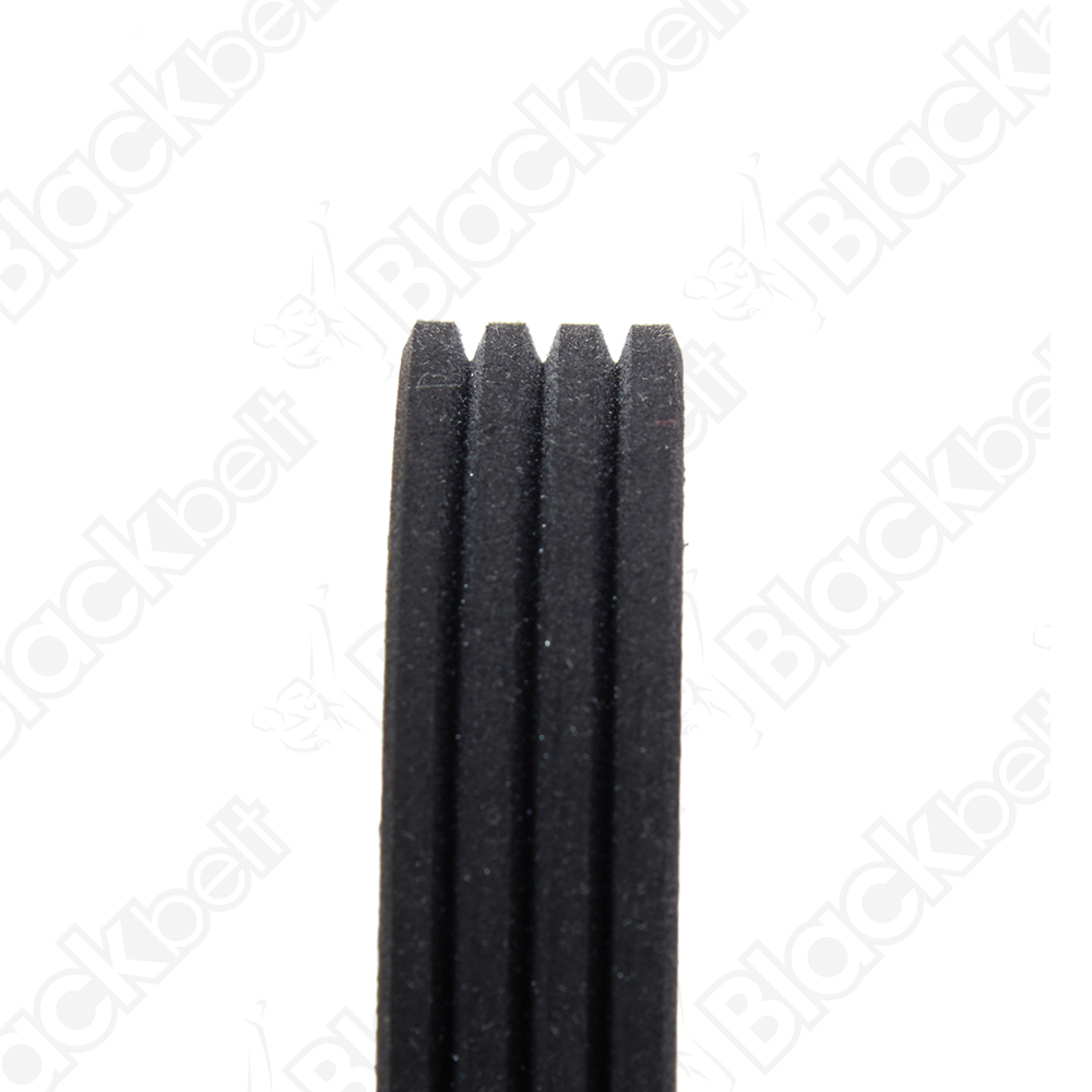 COURROIE SERPENTINE BLACK BELT