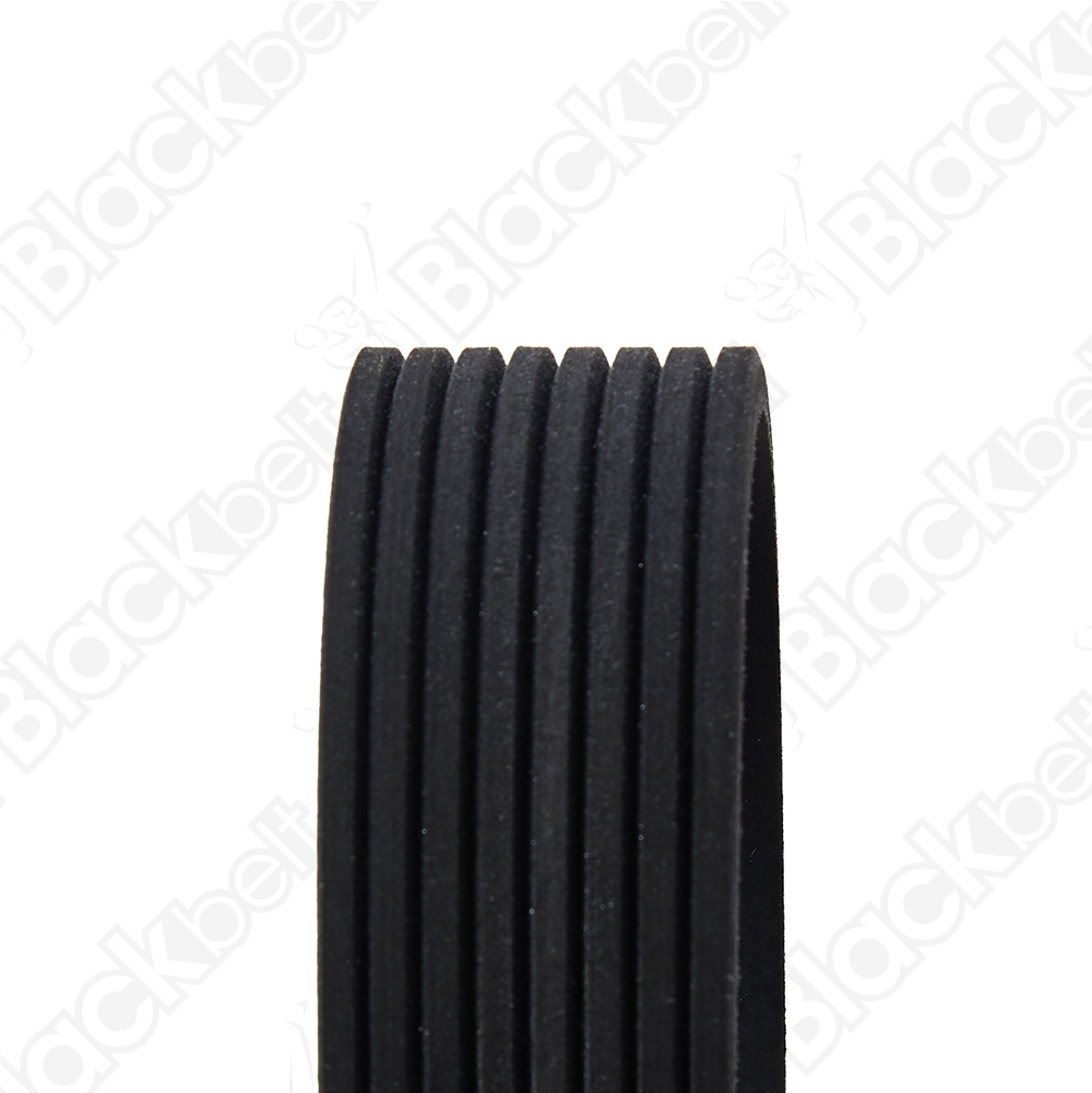 COURROIE SERPENTINE BLACK BELT