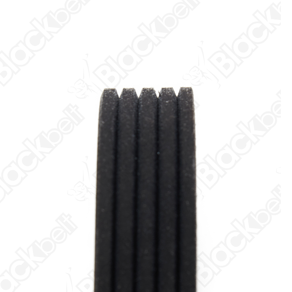 COURROIE SERPENTINE BLACK BELT