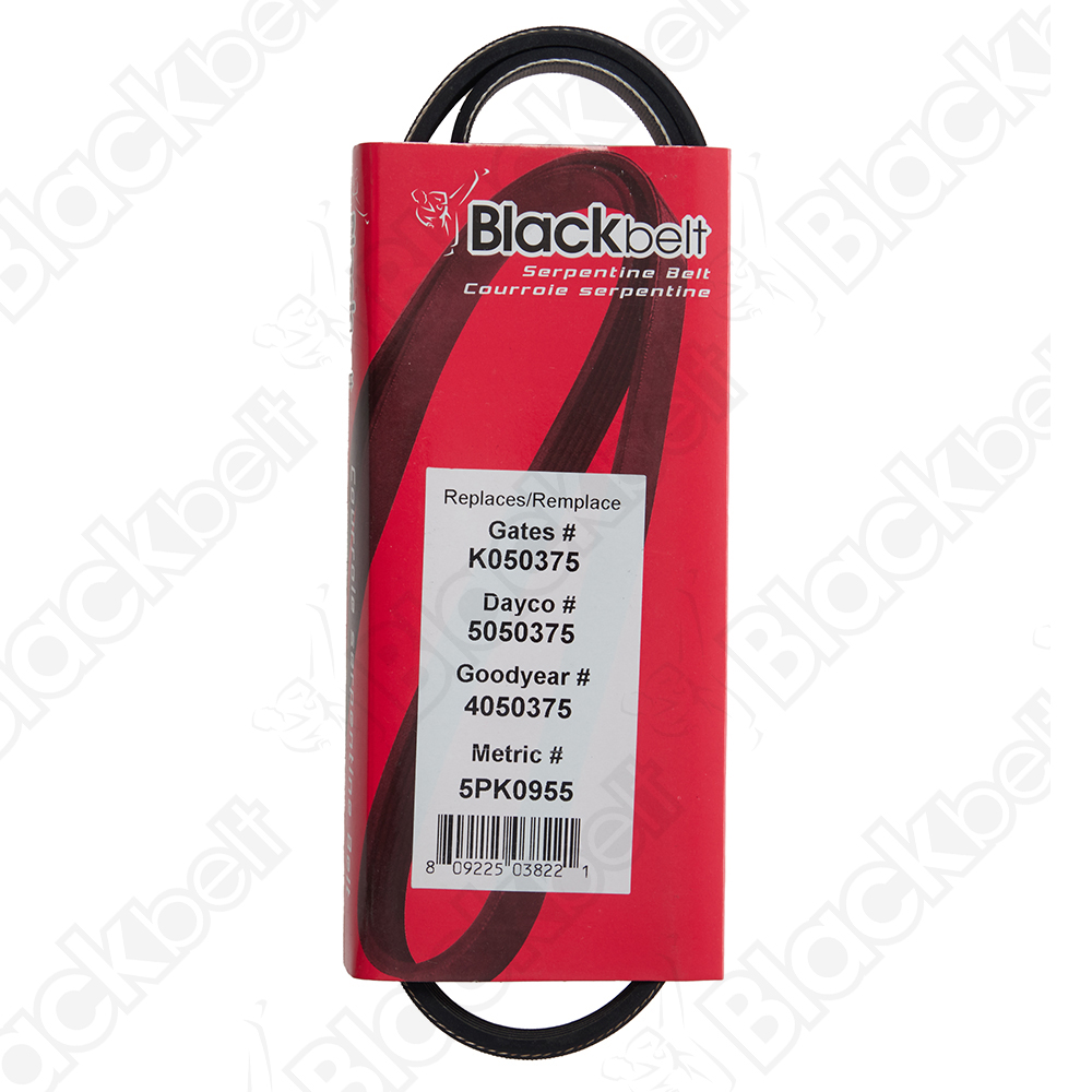 COURROIE SERPENTINE BLACK BELT
