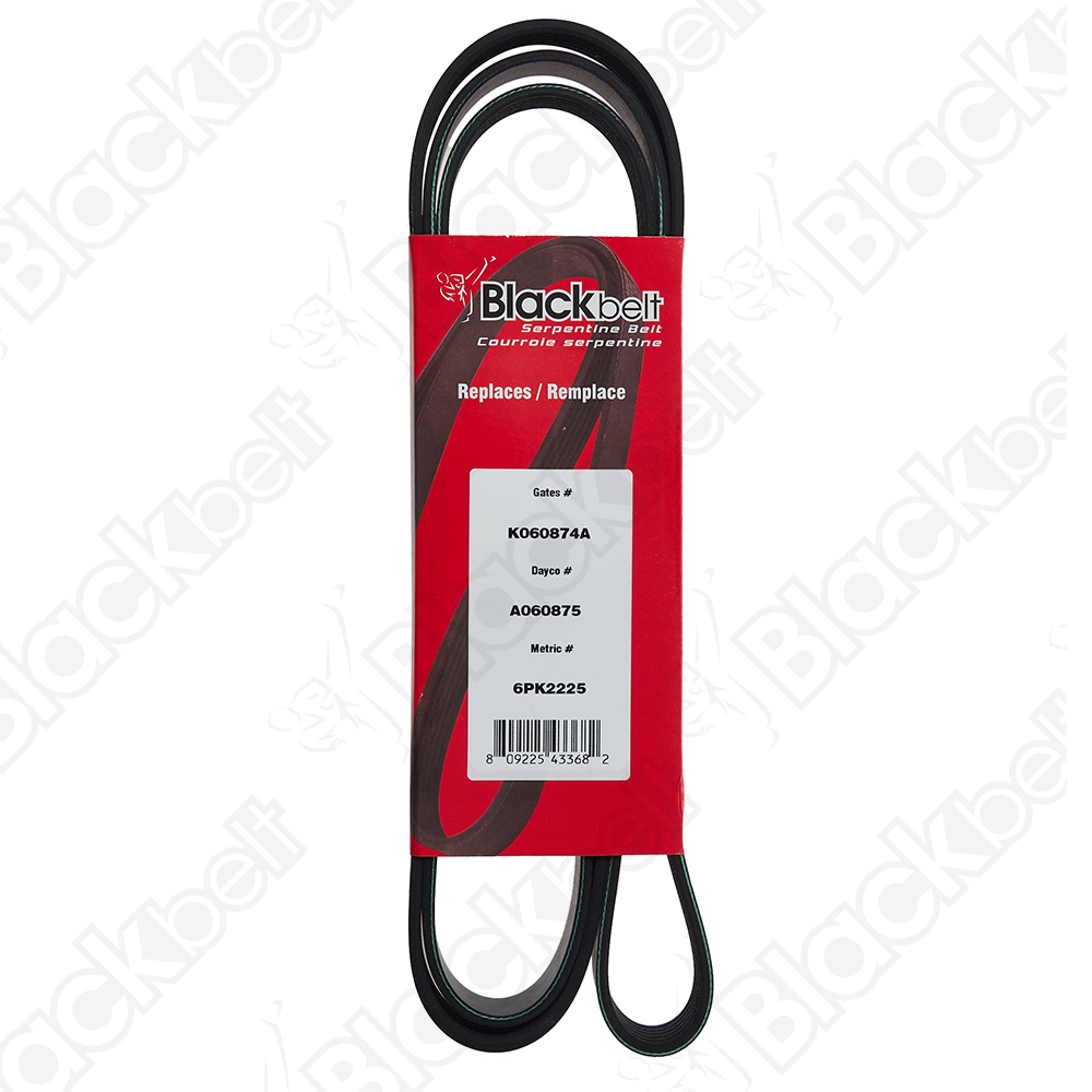 COURROIE SERPENTINE BLACKBELT