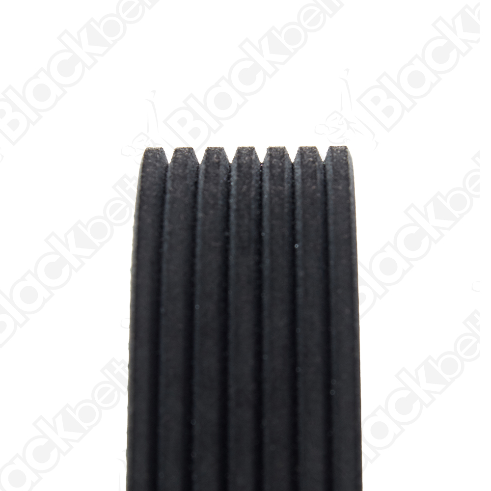 BLACKBELT SERPENTINE BELT