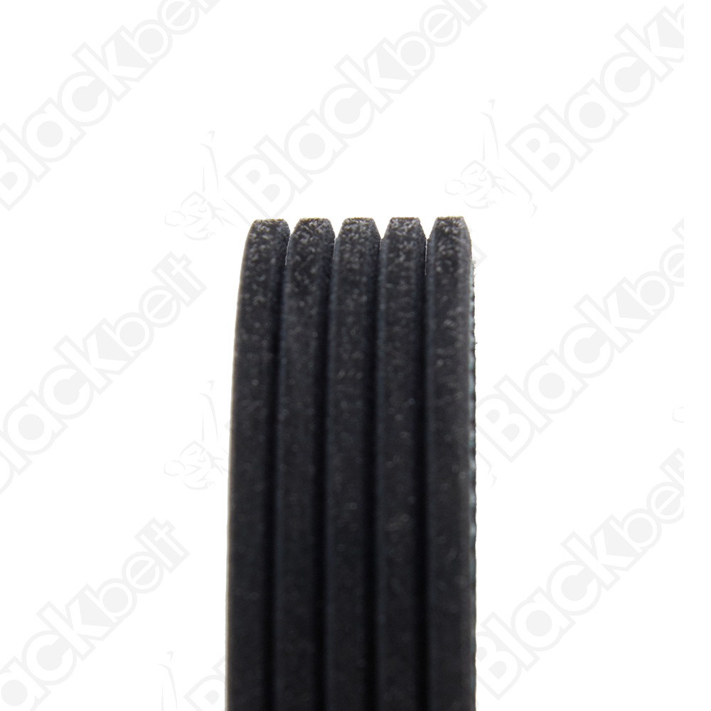 BLACKBELT SERPENTINE BELT