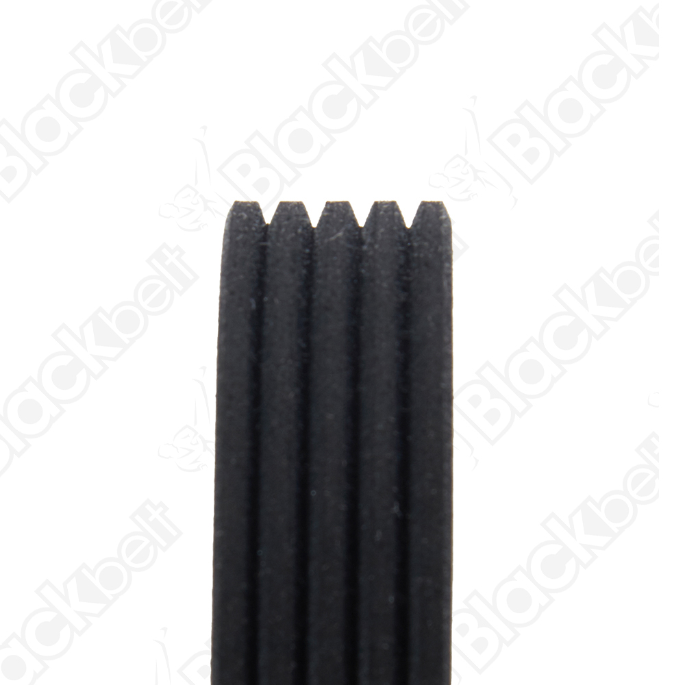 BLACKBELT SERPENTINE BELT - 2