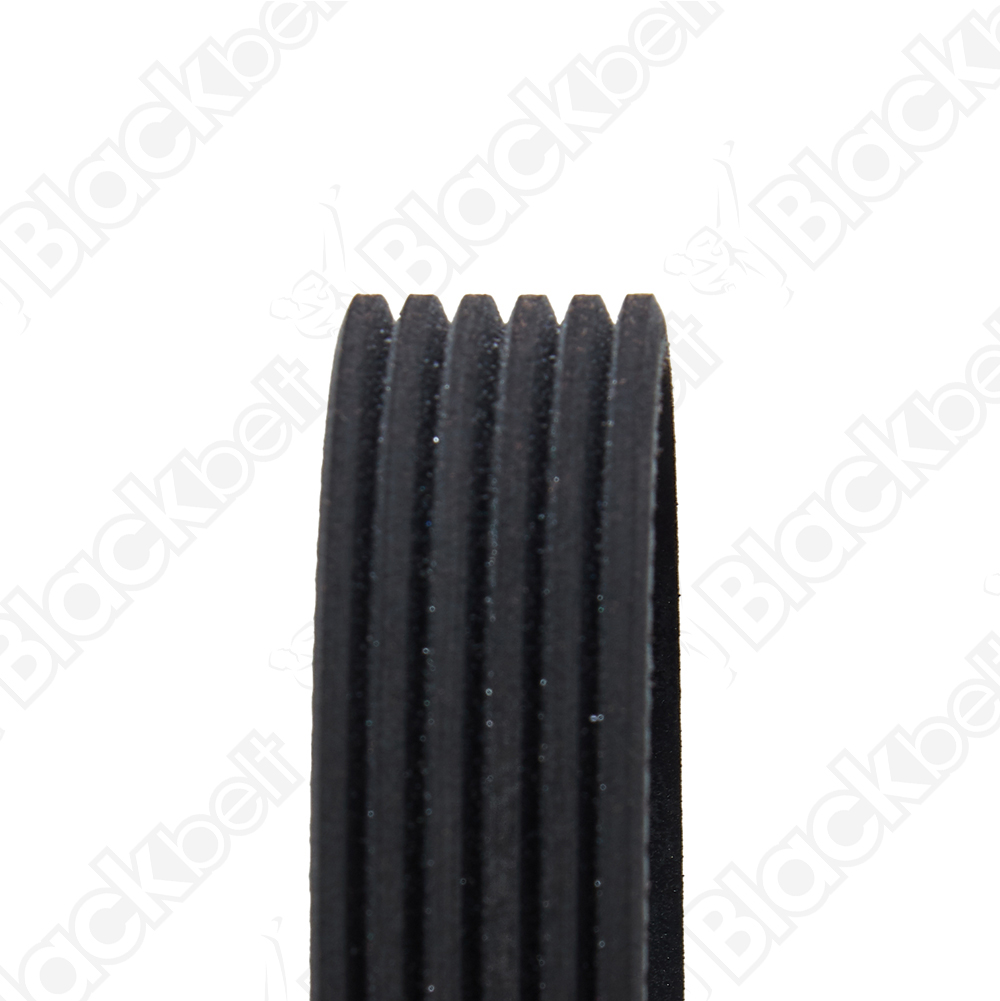 COURROIE SERPENTINE BLACK BELT