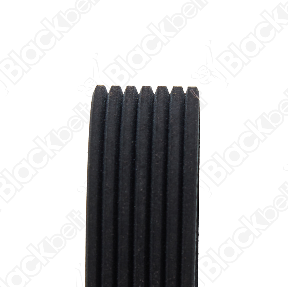 BLACKBELT SERPENTINE BELT